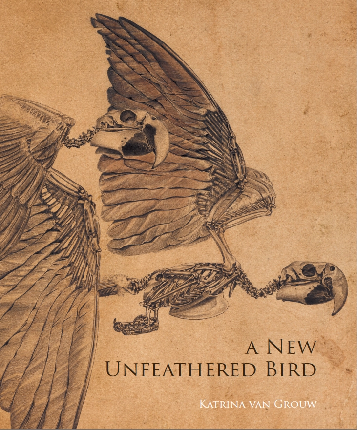 The Unfeathered Bird